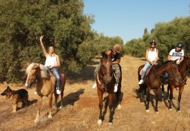 horse riding in sicily -  