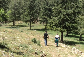 Nature Holiday in Sicily -Sicilian park