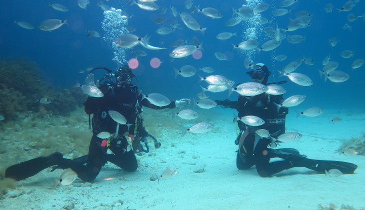 Diving Holiday in Sicily - scuba diving in Italy