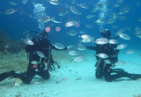 Diving Holiday in Sicily - scuba diving in Italy