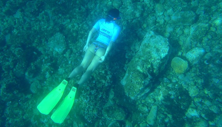 Diving - Snorkeling