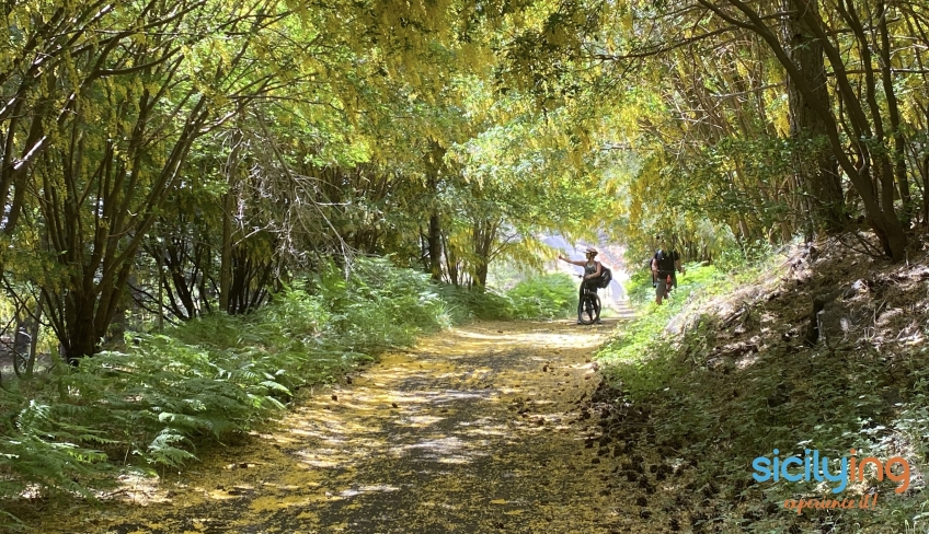 etna bosco in e-mtb