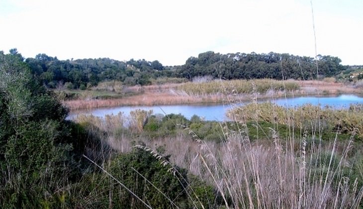 Birdwatching  - excursion Sicily