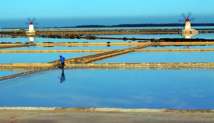 Birdwatching  - excursion Sicily