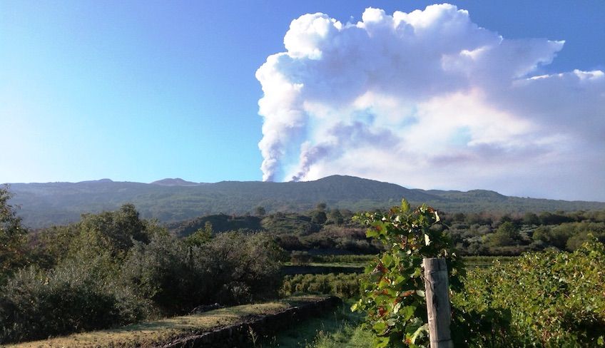 wine tasting etna - 