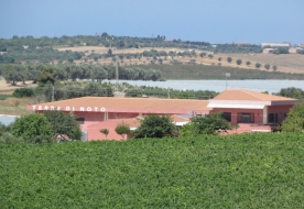 wine tasting noto  -  