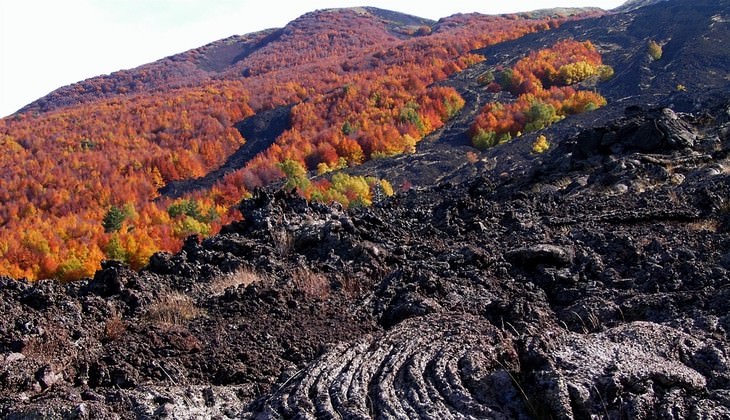 Hiking Etna - trekking in the volcano