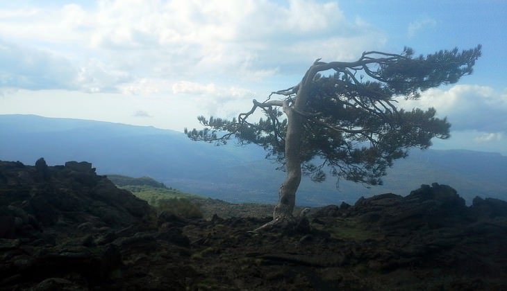 Hiking Etna - trekking in the volcano