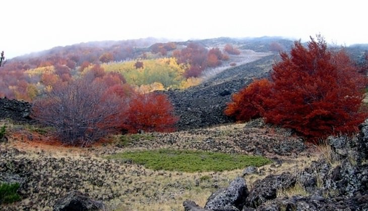 Hiking Etna - trekking in the volcano